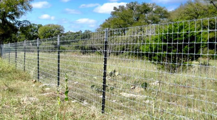 chain link fence services