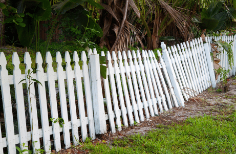 Damaged Fence